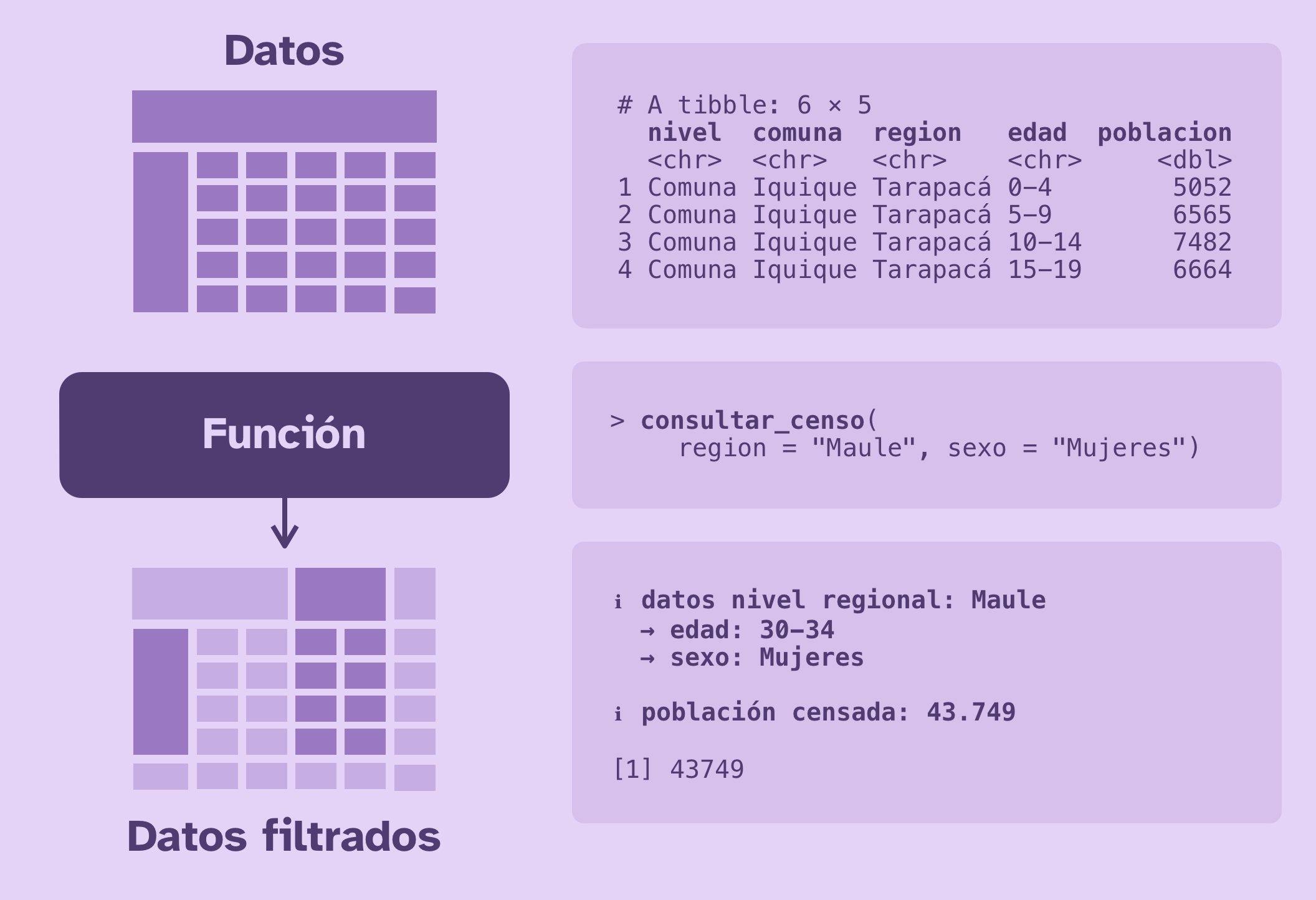 Creando una función para consultar datos en R